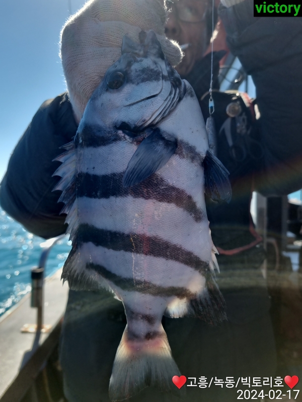 해당 선사를 대표하는 이미지