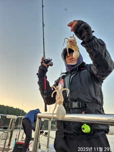 쭈꾸미 다녀왔어요  선상낚시로 잡은 물고기 조황