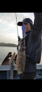 출조모집 선상낚시로 잡은 물고기 조황