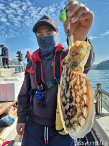 왕갑오징어 출조모집 선상낚시로 잡은 물고기 조황