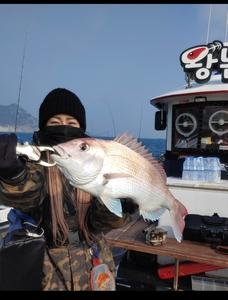  참돔타이라바 출항합니다  선상낚시로 잡은 물고기 조황