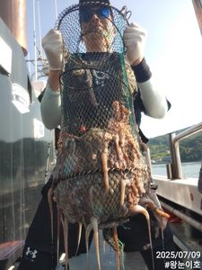 문어 초대박 선상낚시로 잡은 물고기 조황