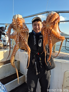 11월 마지막날 쭈꾸미조황입니다  선상낚시로 잡은 물고기 조황