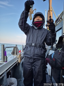 27일 쭈꾸미 조황입니다  선상낚시로 잡은 물고기 조황