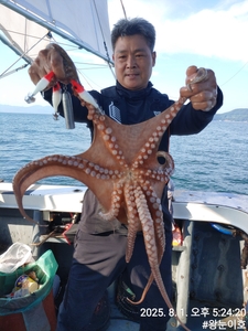 15일부터 문어출조합니다 선상낚시로 잡은 물고기 조황