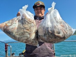 6일 오전 철수 대박조황입니다  선상낚시로 잡은 물고기 조황