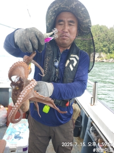 내일도 문어출조합니다 선상낚시로 잡은 물고기 조황
