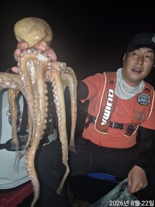 21일 문어야간 조황입니다 선상낚시로 잡은 물고기 조황