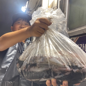 8월 4일 야간 한치낚시(반타임) 조황 선상낚시로 잡은 물고기 조황
