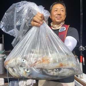 7월 19일 야간 한치낚시(반타임) 조황 선상낚시로 잡은 물고기 조황