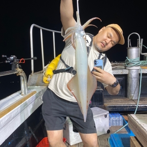 6월 10일 야간 한치낚시(반타임) 조황 선상낚시로 잡은 물고기 조황