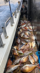 2월 4일 제주 북부권 참돔타이라바 조황 선상낚시로 잡은 물고기 조황