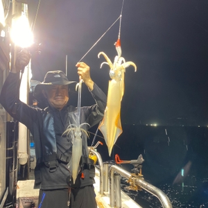 7월 6일 야간 한치낚시(반타임) 조황 선상낚시로 잡은 물고기 조황