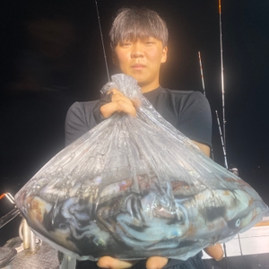 8월 17일 야간 한치낚시(반타임) 조황 선상낚시로 잡은 물고기 조황
