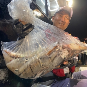 7월 7일 야간 한치낚시(반타임) 조황 선상낚시로 잡은 물고기 조황
