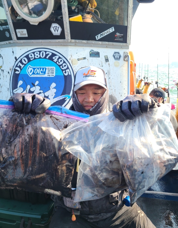 대천항 청춘호의 조황일지 이미지 - 2