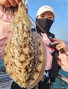 2023.10.30일 청춘호 갑오징어 조황 선상낚시로 잡은 물고기 조황