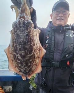 2023.11.04일 청춘호 갑오징어 조황 선상낚시로 잡은 물고기 조황