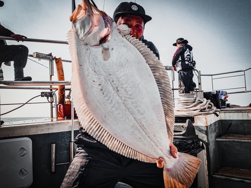 해당 선사를 대표하는 이미지