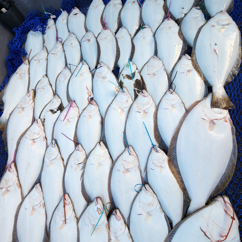 해당 선사를 대표하는 이미지