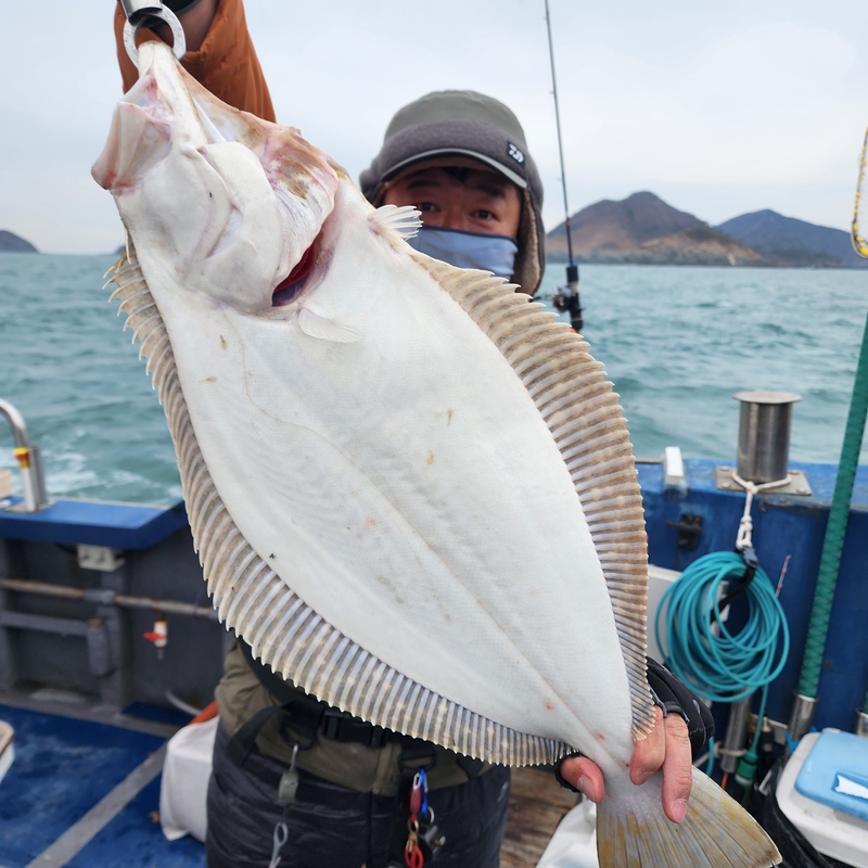 해당 선사를 대표하는 이미지