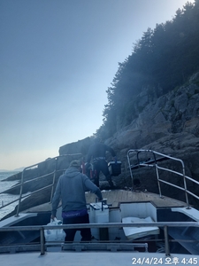 밤볼락]너울통 만쿨만쿨~어젠 젓뽈만 선상낚시로 잡은 물고기 조황
