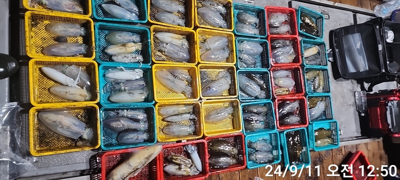 레코드호(열바다낚시)의 조황일지 이미지 - 1
