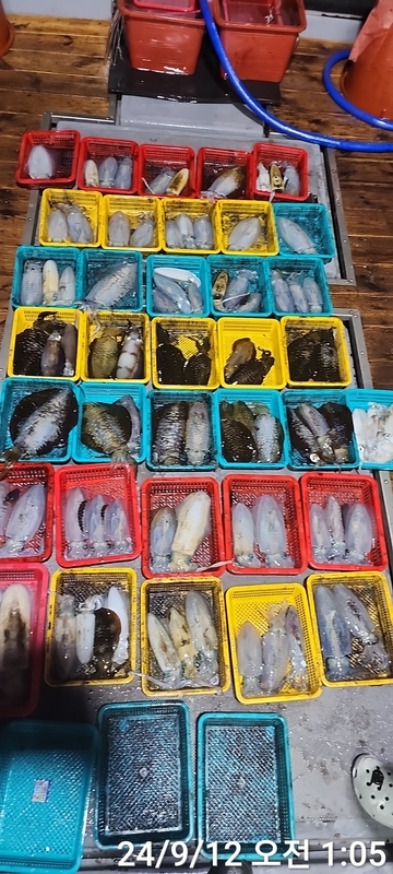 레코드호(열바다낚시)의 조황일지 이미지 - 1
