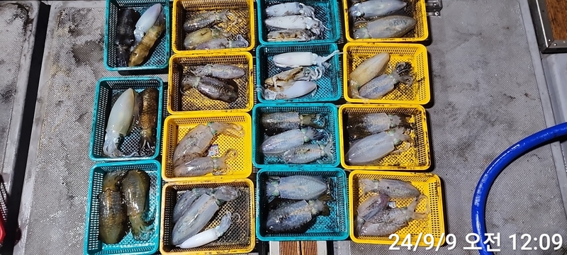 레코드호(열바다낚시)의 조황일지 이미지 - 1