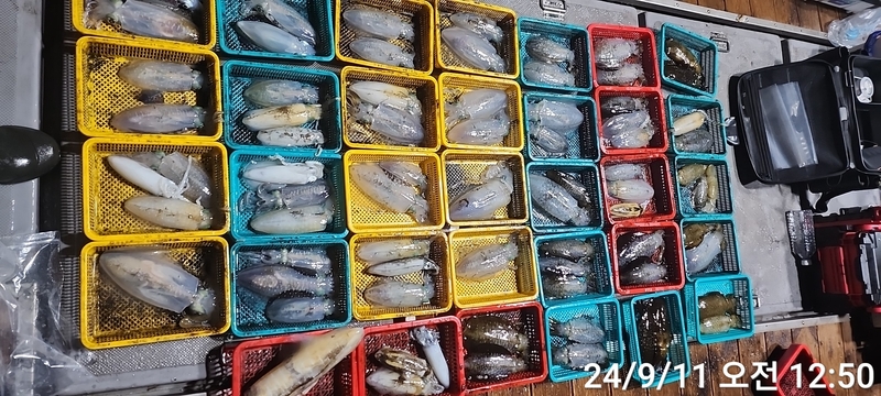 레코드호(열바다낚시)의 조황일지 이미지 - 2