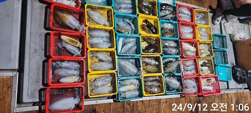레코드호(열바다낚시)의 조황일지 이미지 - 2