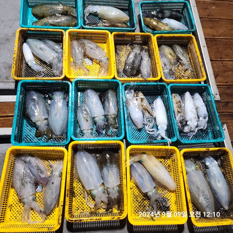 레코드호(열바다낚시)의 조황일지 이미지 - 0