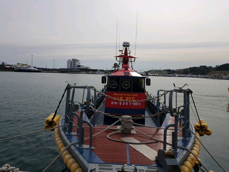 해당 선사를 대표하는 이미지