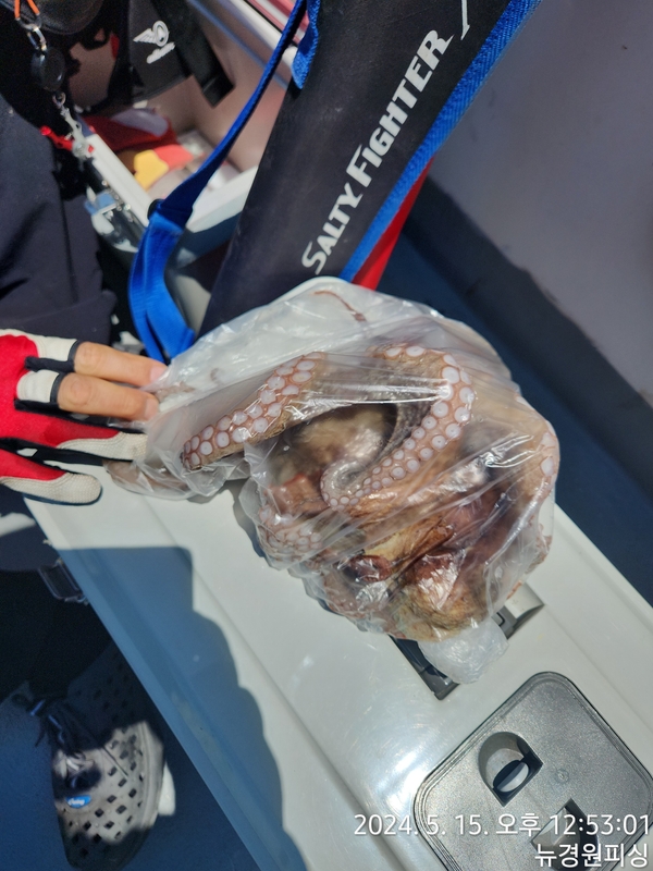 뉴경원피싱의 조황일지 이미지 - 1