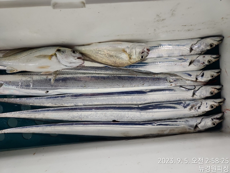 뉴경원피싱의 조황일지 이미지 - 0