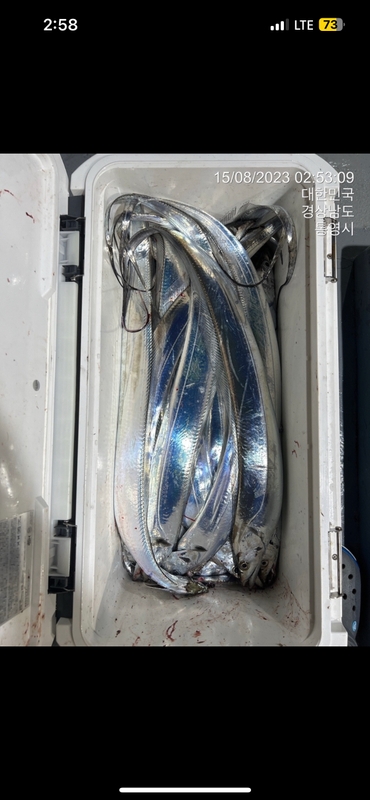 뉴경원피싱의 조황일지 이미지 - 5