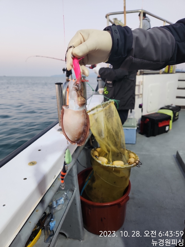 뉴경원피싱의 조황일지 이미지 - 9