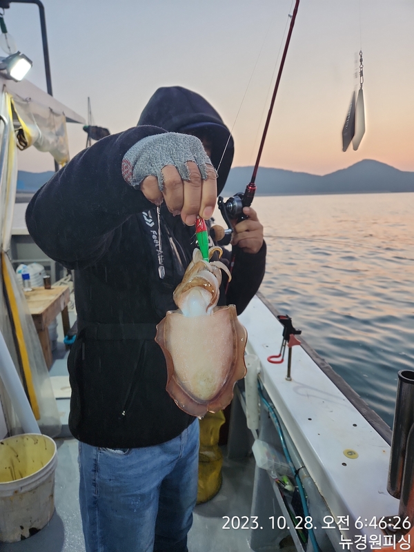 뉴경원피싱의 조황일지 이미지 - 8