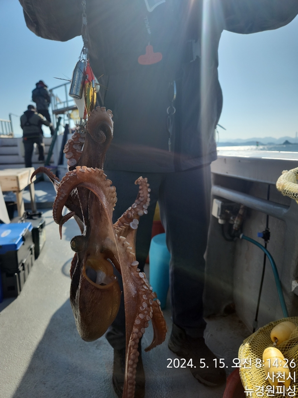 뉴경원피싱의 조황일지 이미지 - 13