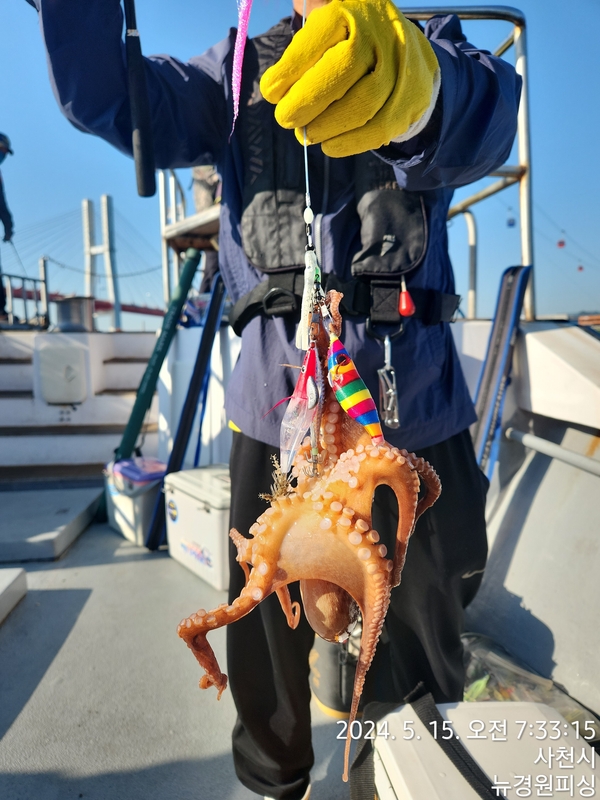 뉴경원피싱의 조황일지 이미지 - 16