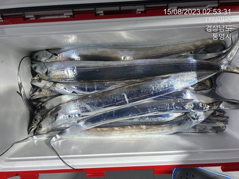 뉴경원피싱의 조황일지 이미지 - 2