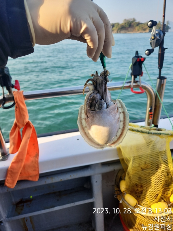 뉴경원피싱의 조황일지 이미지 - 6