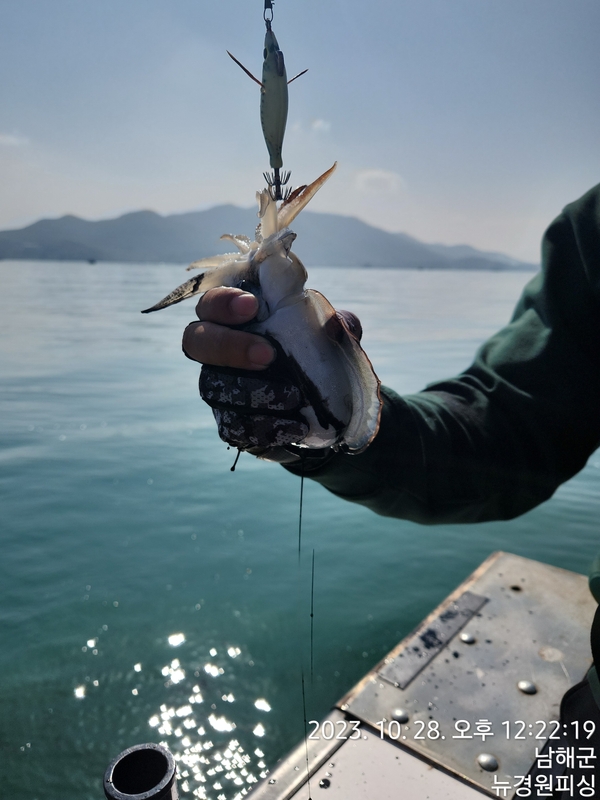뉴경원피싱의 조황일지 이미지 - 1