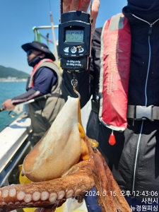 오늘돌문어 키로오백빅원 선비 특별이벤트 4만원 계속 예약중입니다  선상낚시로 잡은 물고기 조황