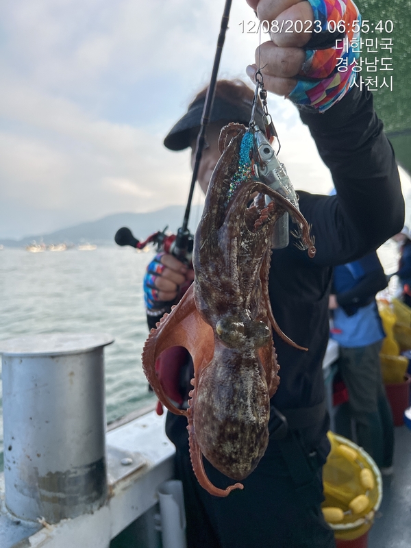 뉴경원피싱의 조황일지 이미지 - 6