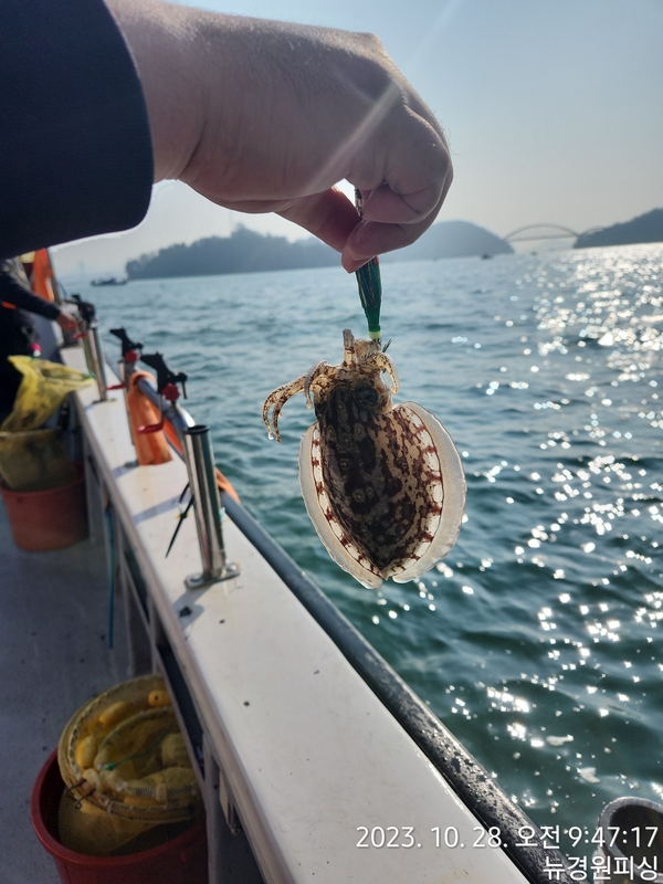 뉴경원피싱의 조황일지 이미지 - 4