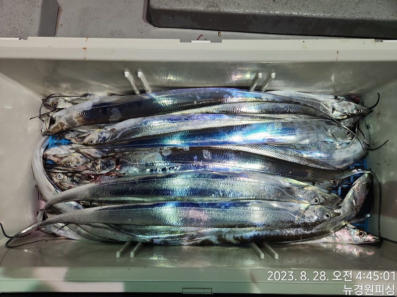 뉴경원피싱의 조황일지 이미지 - 0