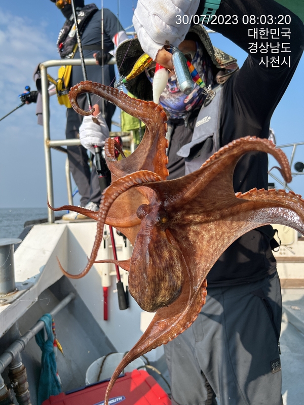 뉴경원피싱의 조황일지 이미지 - 1