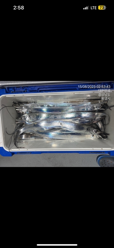 뉴경원피싱의 조황일지 이미지 - 6