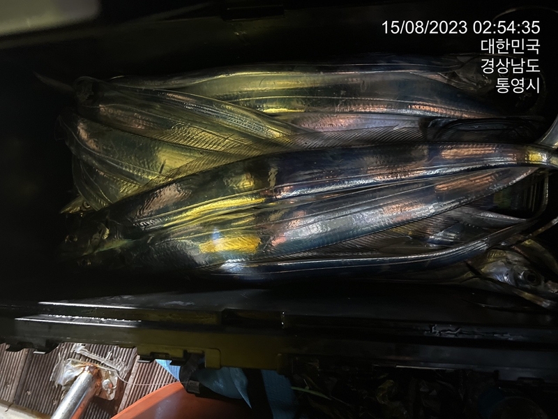 뉴경원피싱의 조황일지 이미지 - 3